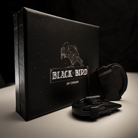 Blackbird