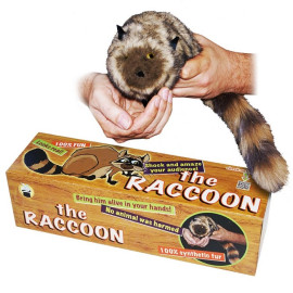 Raccoon (100% synthétique)