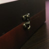 Coffret True Astonishments