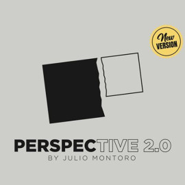 Perspective 2.0