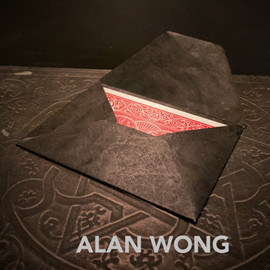 Black Tyvek Card Envelopes x10