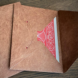 Tyvek Card Envelopes Marron x10