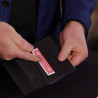 Pro 4 Wallet